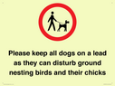 please-keep-all-dogs-on-a-lead-as-they-can-disturb-ground-nesting-birds-and-thei~